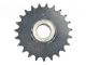 Pinion Z23 Claas 639595